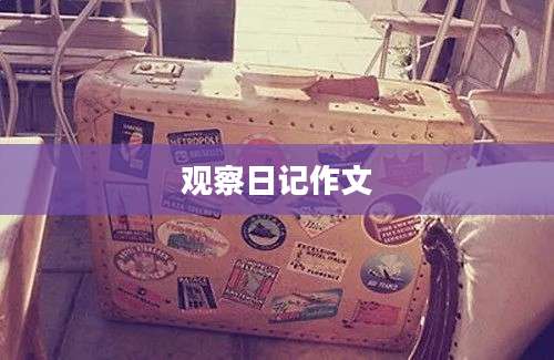 观察日记作文