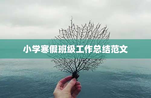 小学寒假班级工作总结范文