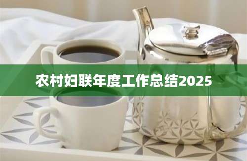 农村妇联年度工作总结2025