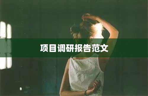 项目调研报告范文