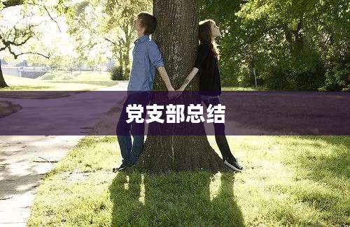 党支部总结
