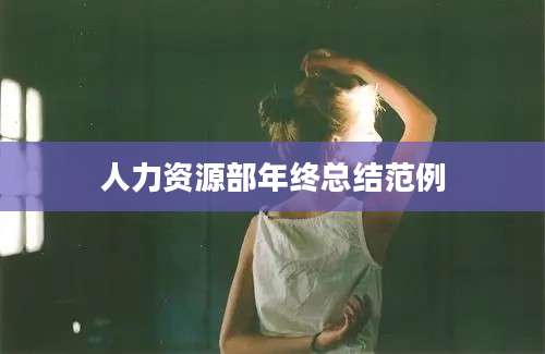 人力资源部年终总结范例