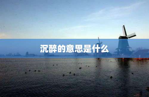沉醉的意思是什么