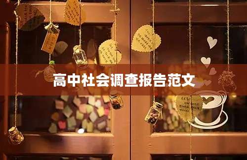 高中社会调查报告范文