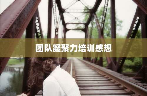 团队凝聚力培训感想