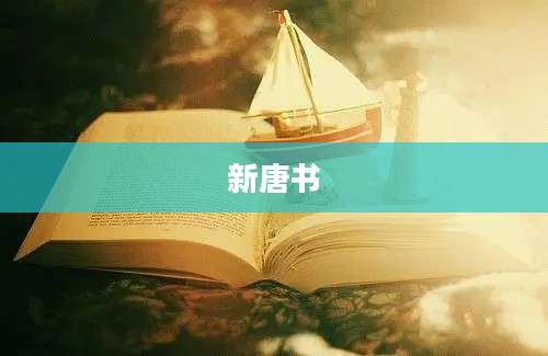 新唐书