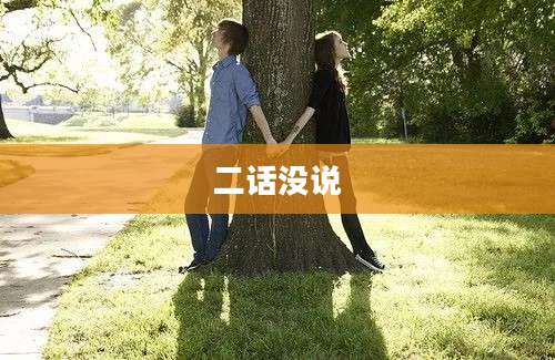 二话没说