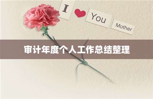 审计年度个人工作总结整理