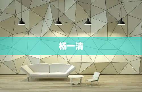 杨一清