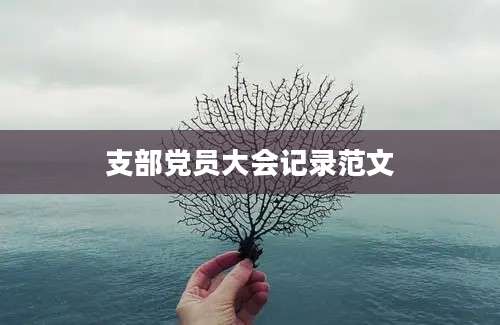 支部党员大会记录范文