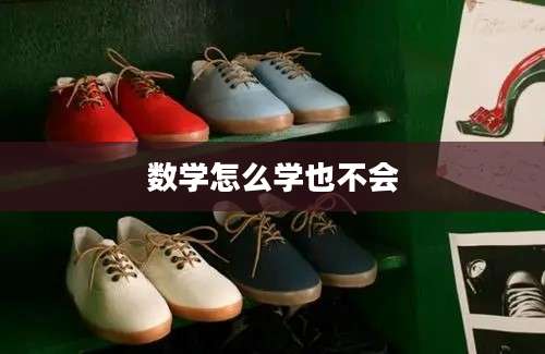 数学怎么学也不会