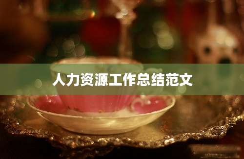人力资源工作总结范文