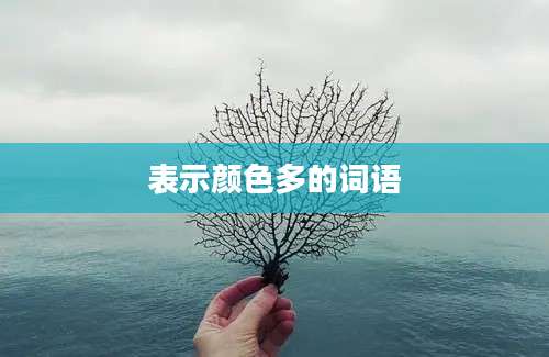 表示颜色多的词语