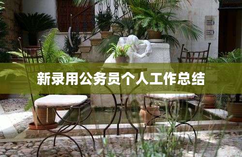 新录用公务员个人工作总结