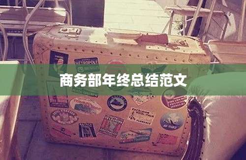商务部年终总结范文