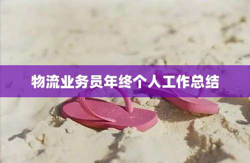 物流业务员年终个人工作总结