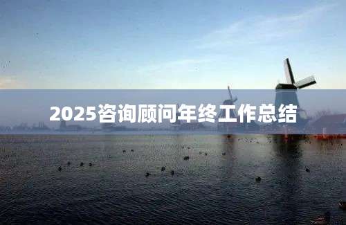 2025咨询顾问年终工作总结