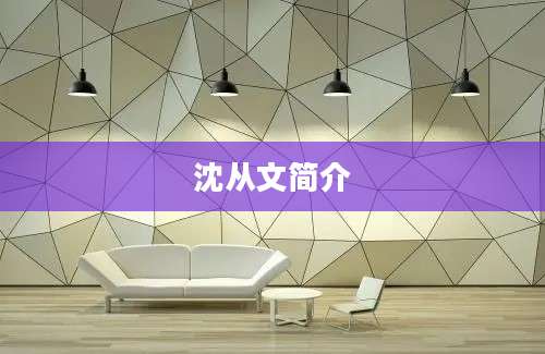 沈从文简介