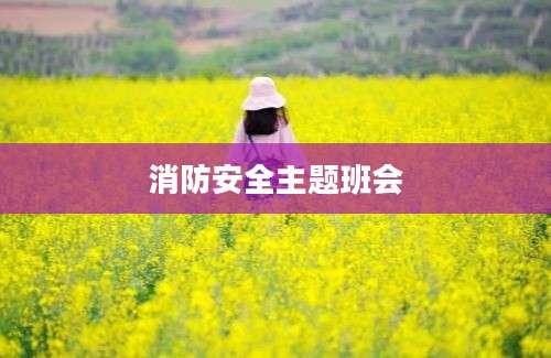 消防安全主题班会