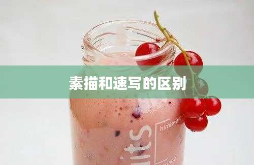 素描和速写的区别