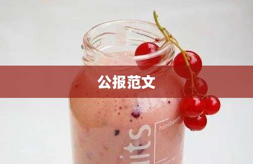 公报范文