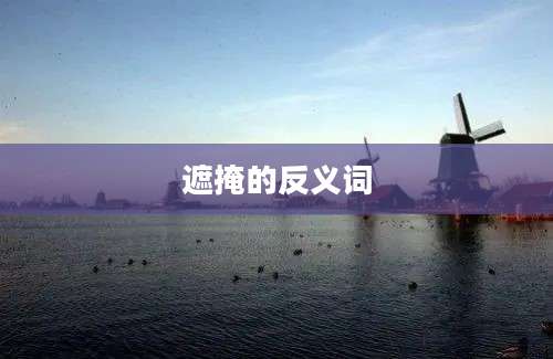 遮掩的反义词