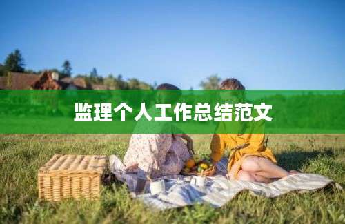 监理个人工作总结范文