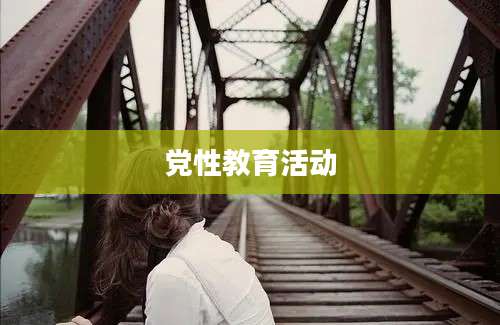 党性教育活动