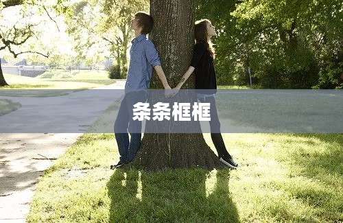 条条框框