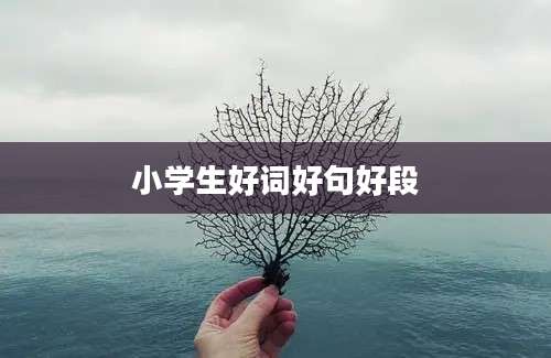 小学生好词好句好段