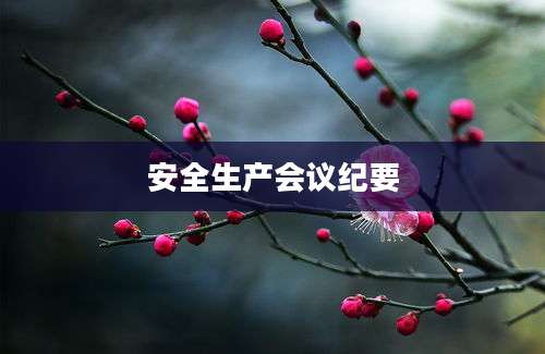 安全生产会议纪要