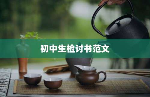 初中生检讨书范文