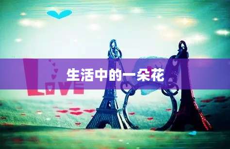 生活中的一朵花