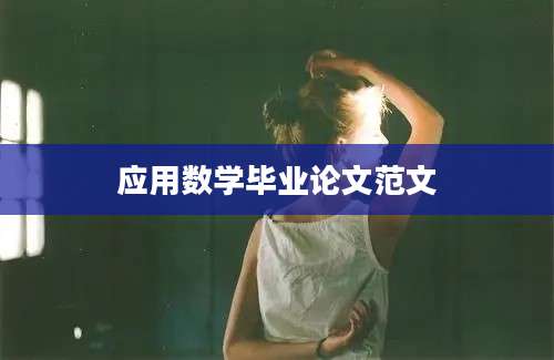 应用数学毕业论文范文