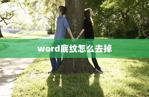 word底纹怎么去掉
