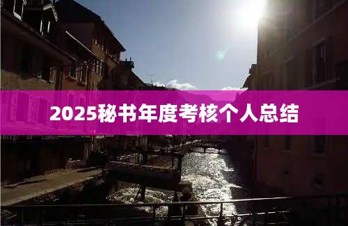 2025秘书年度考核个人总结