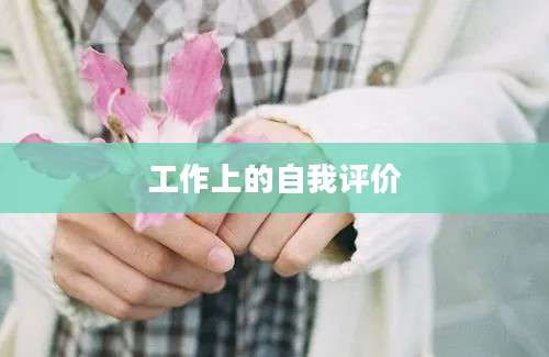 工作上的自我评价
