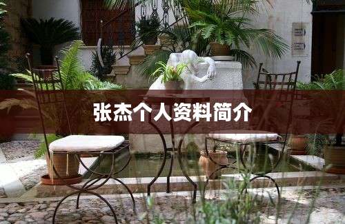 张杰个人资料简介