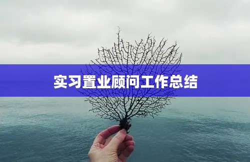 实习置业顾问工作总结