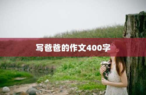 写爸爸的作文400字