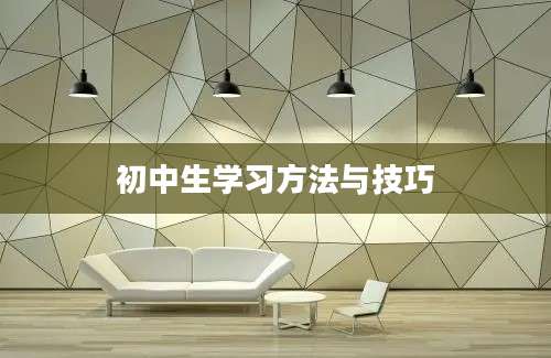 初中生学习方法与技巧