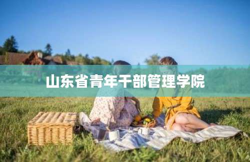 山东省青年干部管理学院
