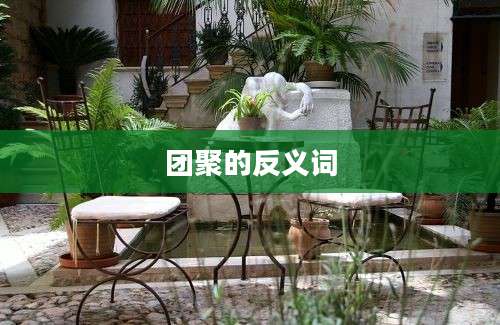团聚的反义词