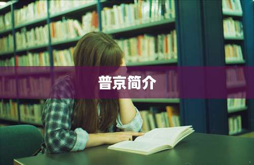普京简介