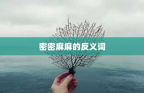 密密麻麻的反义词