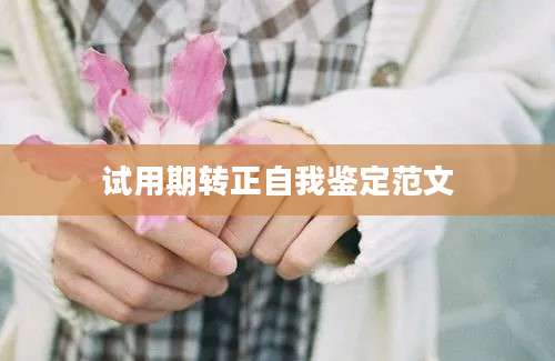 试用期转正自我鉴定范文