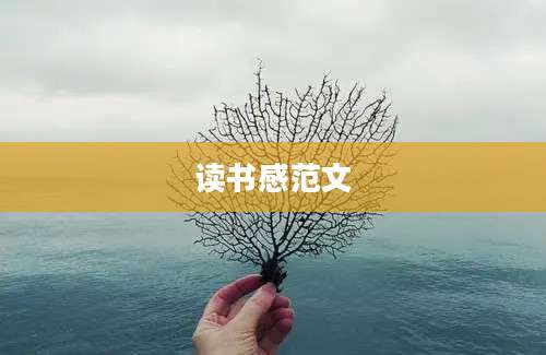 读书感范文