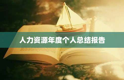 人力资源年度个人总结报告