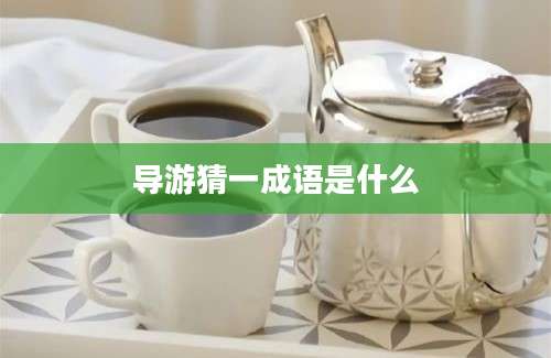 导游猜一成语是什么
