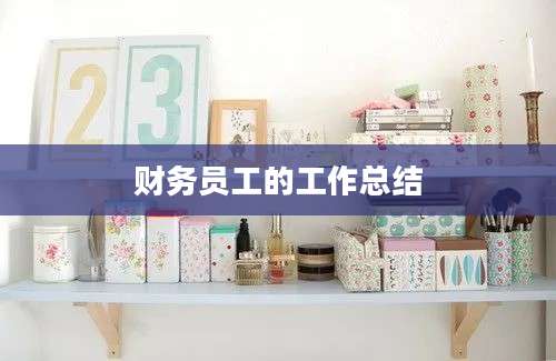 财务员工的工作总结